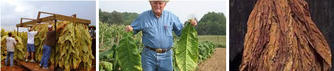 burleypicpanel panel