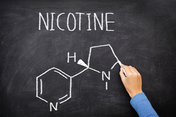 nicotine nootropic